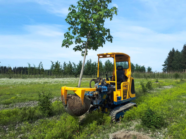 mde-rooien-met-kluit1